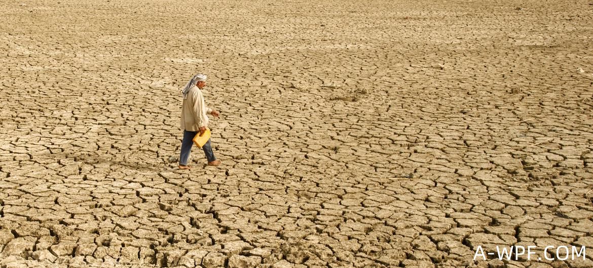 像伊拉克(如图)这样的发展中国家缺乏资源来投资于复苏、气候行动和可持续发展目标。